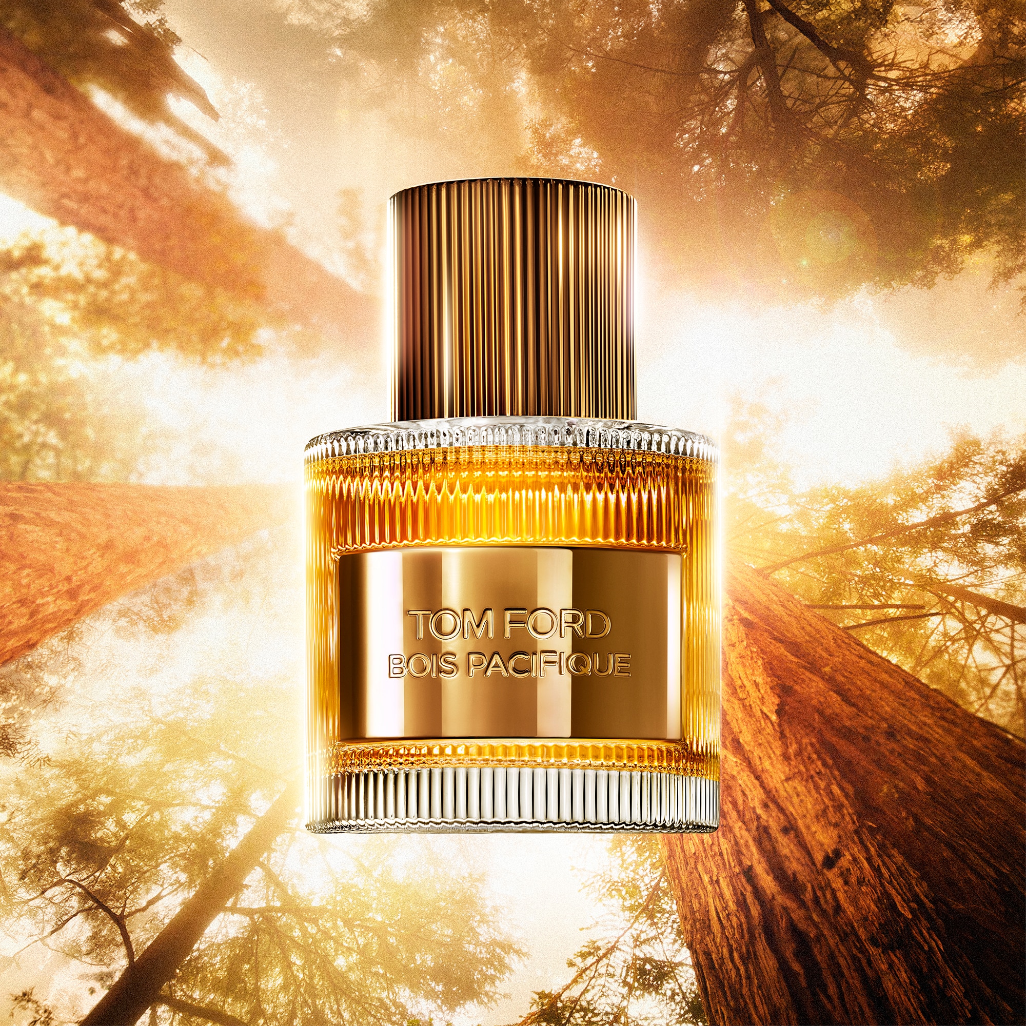 SIGNATURE BOIS PACIFIQUE EDP